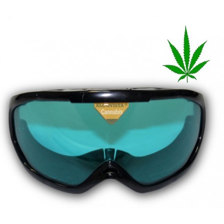 Cannabis-Brille "erste Kontake - niedrige Effekte"