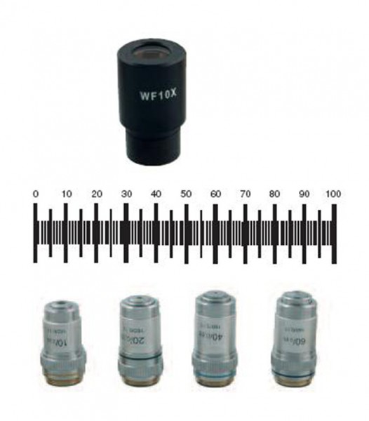 Okular WHSZ15xH, Sehfeldzahl 16mm, Dioptrienverstellung –8 bis +5