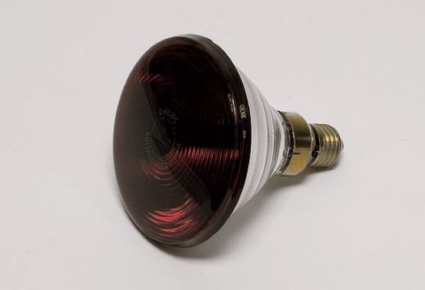 Glühlampe, infrarot, E27/230 V/150 W