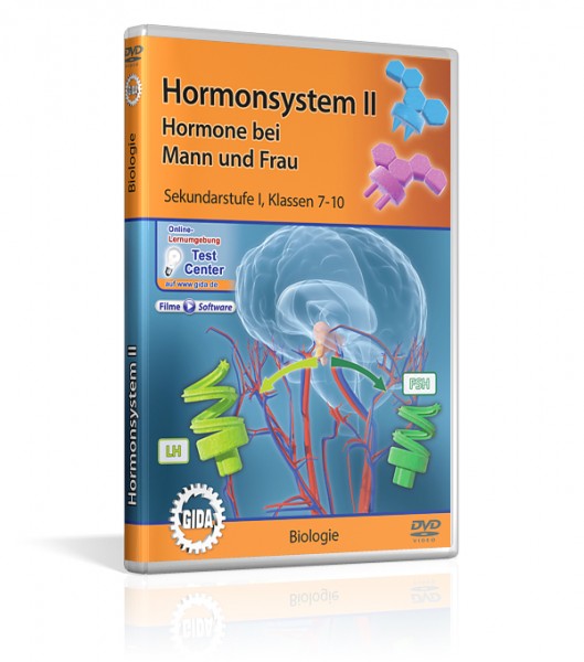Hormonsystem II