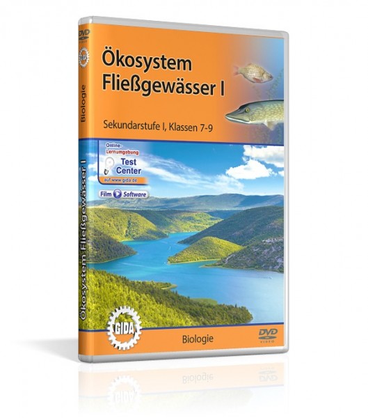 Ökosystem Fließgewässer I