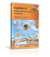 Insekten II Insekten II