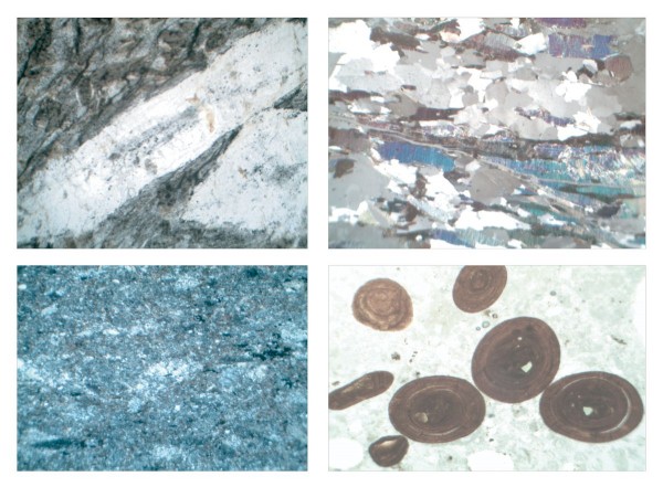 Gesteinsdünnschliffe Serie V. Sedimentgesteine (Sedimentite) 22 Mikropräparate 