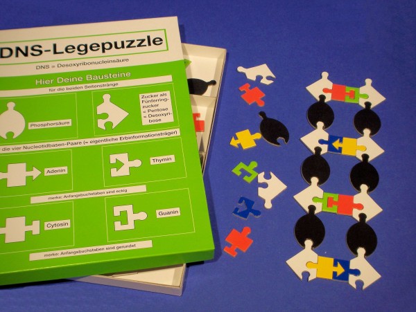 DNA Leggepuzzle