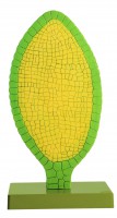 Brunnenlebermoos Brunnenlebermoos