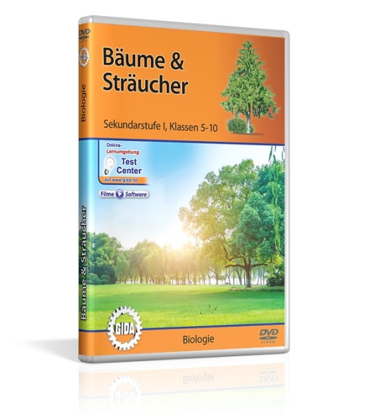 Bäume & Sträucher