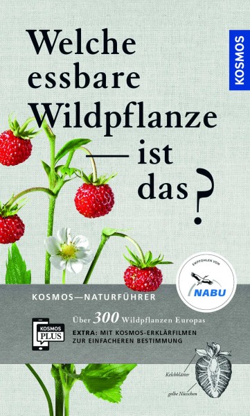 Welche essbare Wildpflanze ist das?