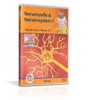 Nervenzelle & Nervensystem I Nervenzelle & Nervensystem I