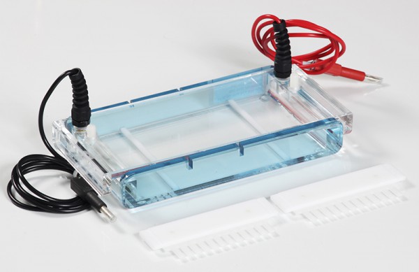 Elektrophoresekammer für D N A und RNA - Auftrennungen