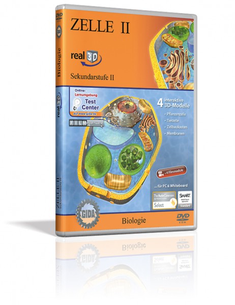 Real 3D Software - Zelle II