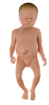 Neugeborenenbaby, weiblich