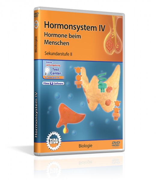 Hormonsystem IV