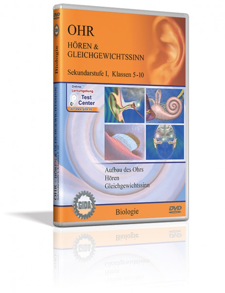 DVD - Ohr - Hören & Gleichgewichtssinn