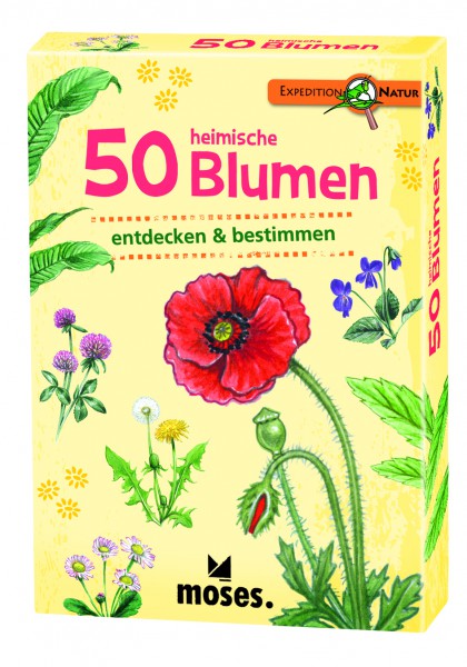 50 heimische Blumen