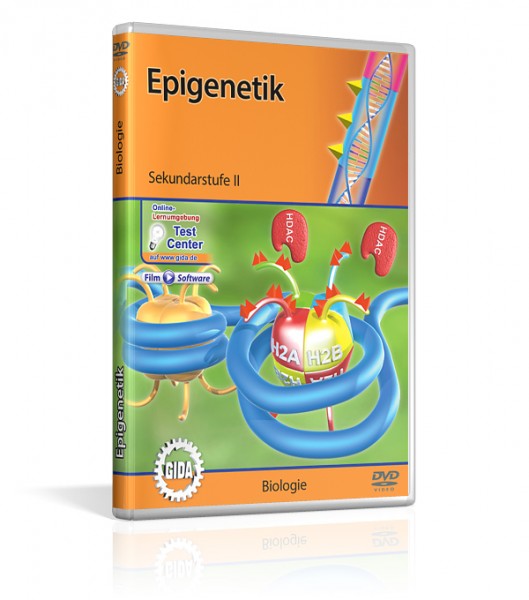 Epigenetik 