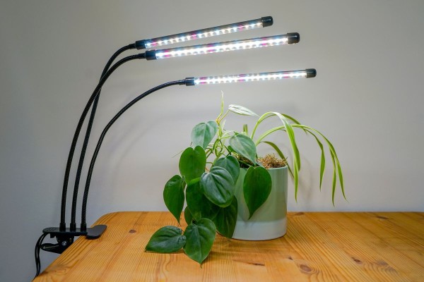 LED-Pflanzenlampe 