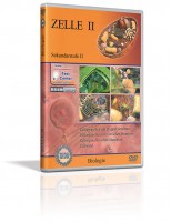 DVD - Zelle II DVD - Zelle II