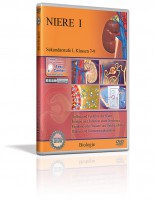 DVD - Niere I DVD - Niere I