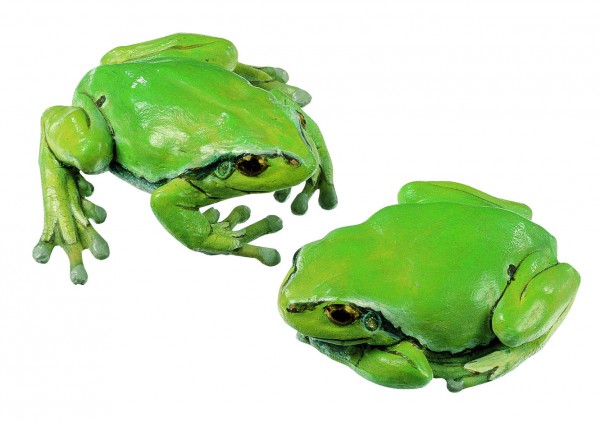 Laubfrosch, Weibchen (2 Modelle)