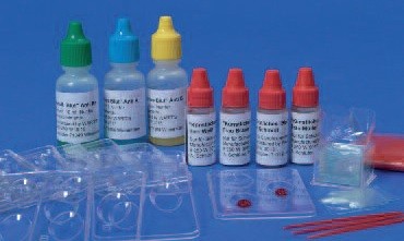 Experimentier-Kit de Luxe: Künstliches Blut zur Blutgruppenbestimmung mit Rh (WARD´S)